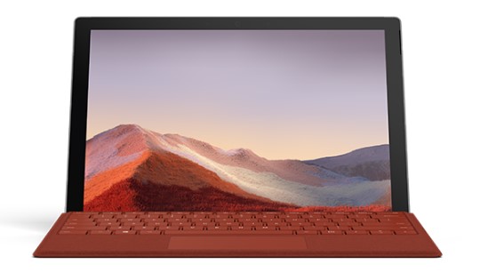 宿城清洁和维护 Surface